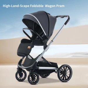 Reversible Foldable Baby Stroller